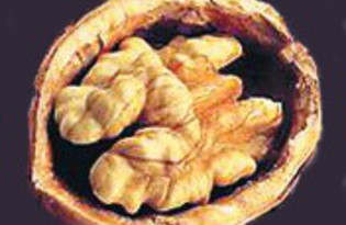 Грецкие орехи. Калорийность, польза и вред