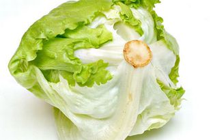 Салат айсберг (листовой салат). Калорийность, польза и вред