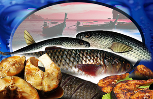 Рыба Пеленгас. Калорийность, польза и вред