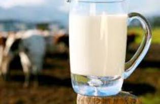 Молоко фермерское. Калорийность, польза и вред.
