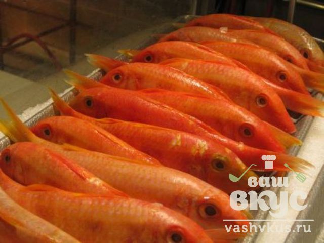 Рыба Барабулька Фото