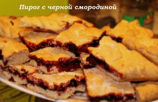 Пирог с черной смородиной (Термомикс) (пошаговый фото рецепт)