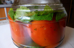 Малосольные помидоры (пошаговый фото рецепт)