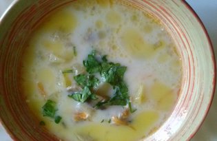 Сырный суп с шампиньонами в мультиварке (пошаговый фото рецепт)