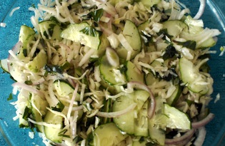 Салат из белокачанной капусты с огурцом (пошаговый фото рецепт)