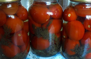 Помидоры, маринованные с морковной ботвой (пошаговый фото рецепт)