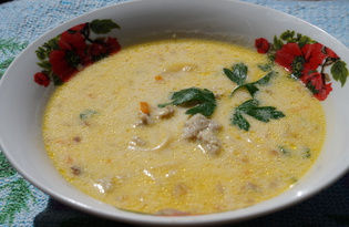 Сырный суп с фрикадельками (пошаговый фото рецепт)