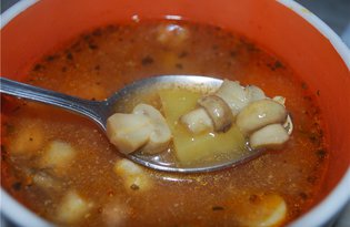 Суп с шампиньонами в мультиварке (пошаговый фото рецепт)