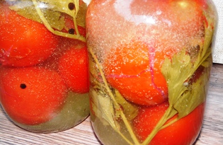 Маринованные помидоры "под снегом" (пошаговый фото рецепт)