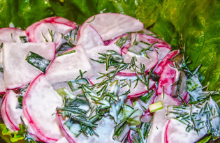 Салат из редиса с укропом (пошаговый фото рецепт)
