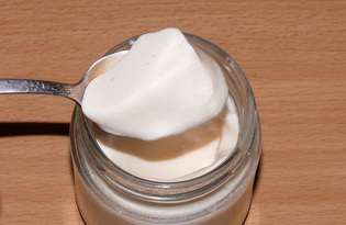 Ряженка в йогуртнице (пошаговый фото рецепт)