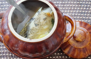 Рыбный суп из щуки в горшочках (пошаговый фото рецепт)