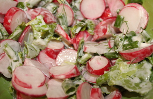 Салат с редисом и зеленью (пошаговый фото рецепт)