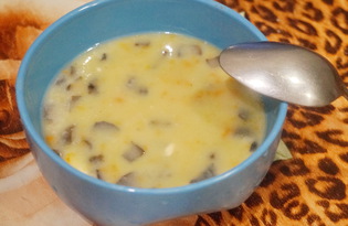 Сливочный суп - пюре с грибами (пошаговый фото рецепт)