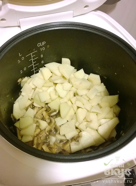 Картофель с грибами в мультиварке Redmond M-4502