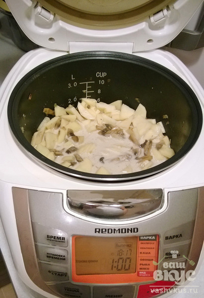 Картофель с грибами в мультиварке Redmond M-4502