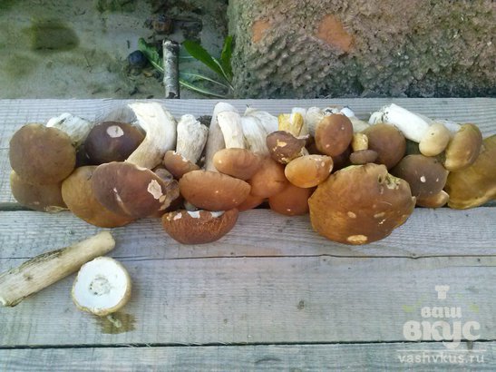 Маринованные лесные грибы