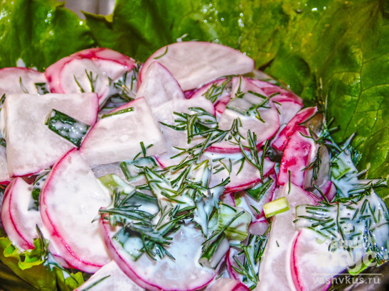 Салат из редиса с укропом